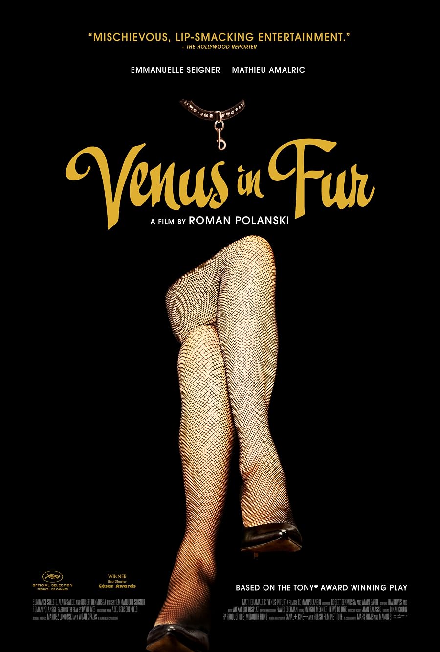 دانلود فیلم Venus in Fur 2013