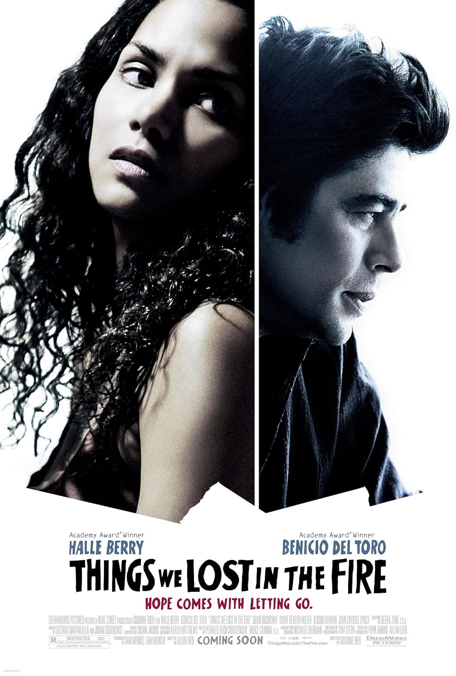 دانلود فیلم Things We Lost in the Fire 2007 دانلود فیلم Things We Lost in the Fire 2007
